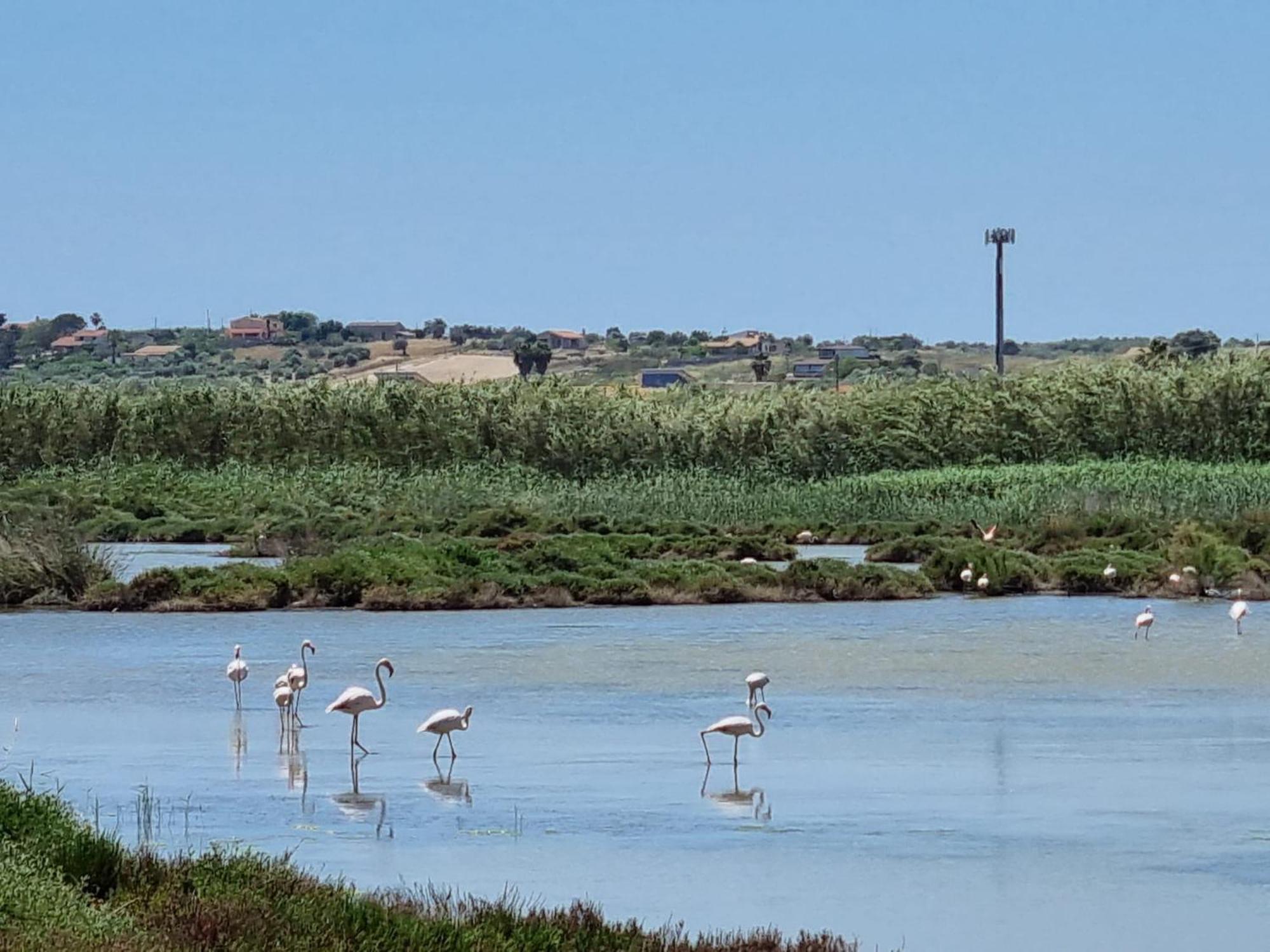 -Dimartino Home- Posizione Centrale 9 Min Da Marzamemi San Lorenzo Portopalo Di Capo Passero Pachino Εξωτερικό φωτογραφία